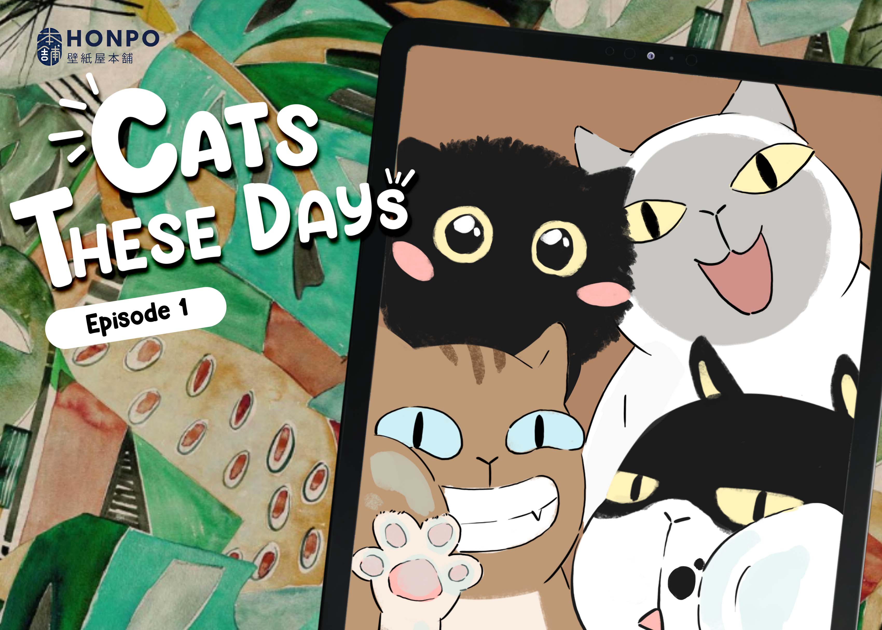 Cats these days introducing